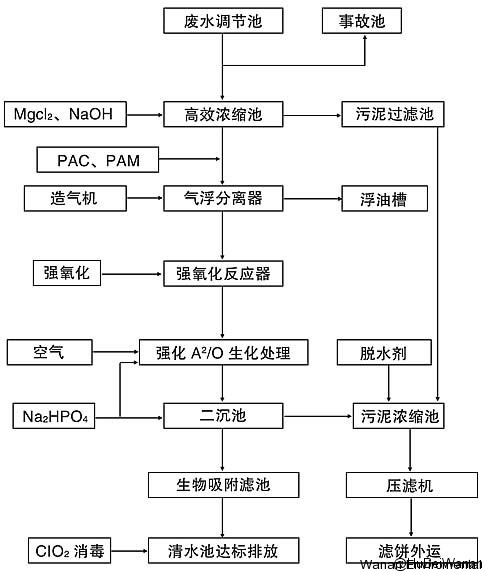 1450601139875782.jpg 555.jpg