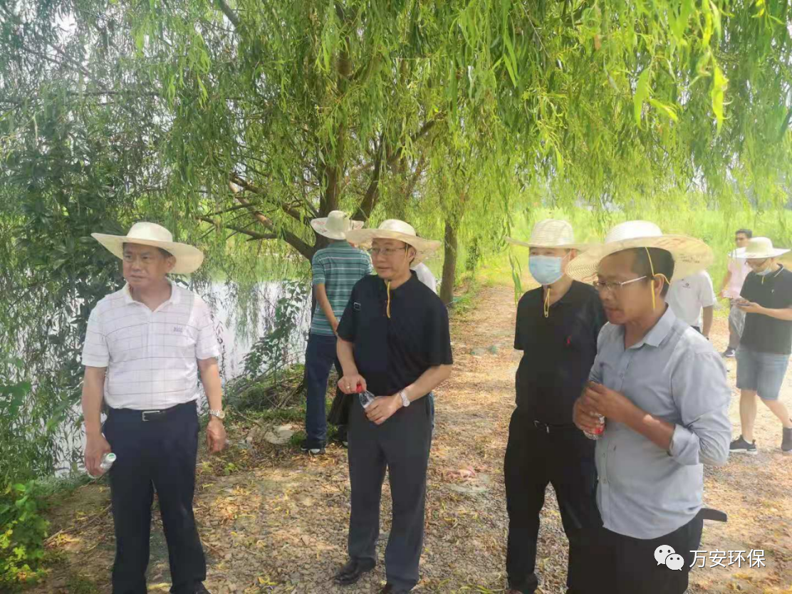 智能加藥裝置 智能加藥裝置