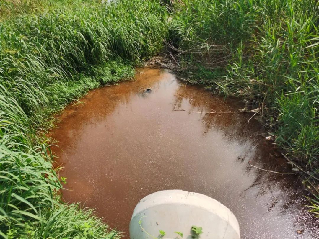 無縫氣瓶生產(chǎn)商,密閉取樣器,自動切水器,截油排水器 無縫氣瓶生產(chǎn)商,密閉取樣器,自動切水器,截油排水器