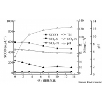 城市污水處理廠污泥臭氧減量技術(shù)