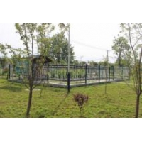 堅持依法決策 守護綠水青山