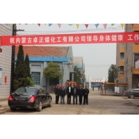 內(nèi)蒙卓正化工專家來我公司視察